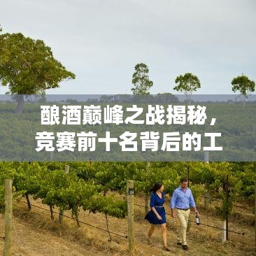 酿酒巅峰之战揭秘，竞赛前十名背后的工艺奥秘