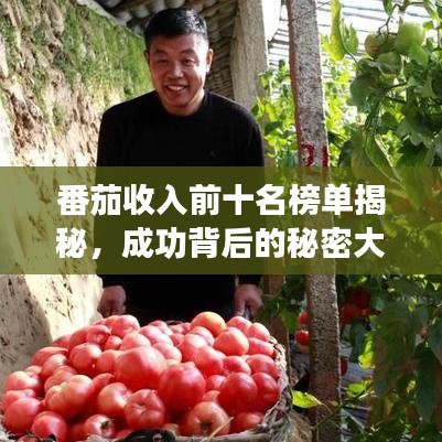 番茄收入前十名榜单揭秘，成功背后的秘密大解密！