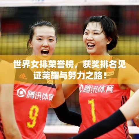 世界女排荣誉榜，获奖排名见证荣耀与努力之路！