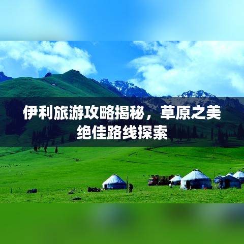 伊利旅游攻略揭秘，草原之美绝佳路线探索