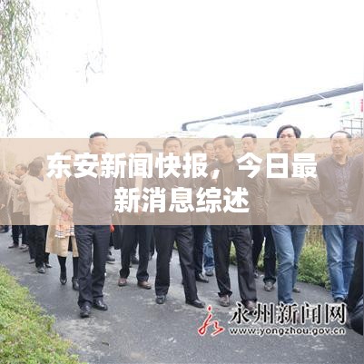 东安新闻快报，今日最新消息综述