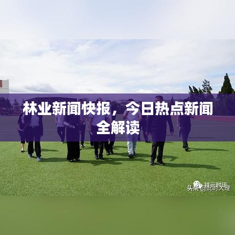 林业新闻快报，今日热点新闻全解读