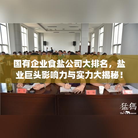 国有企业食盐公司大排名，盐业巨头影响力与实力大揭秘！
