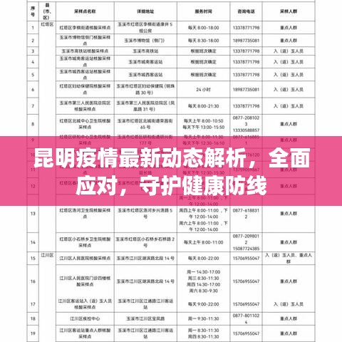 昆明疫情最新动态解析，全面应对，守护健康防线