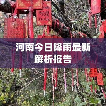 河南今日降雨最新解析报告
