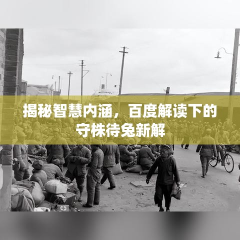揭秘智慧内涵，百度解读下的守株待兔新解