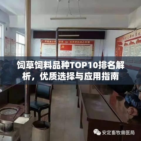 饲草饲料品种TOP10排名解析，优质选择与应用指南
