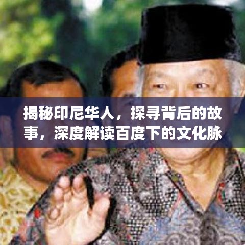揭秘印尼华人，探寻背后的故事，深度解读百度下的文化脉络