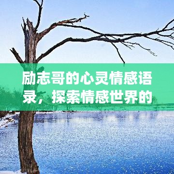 励志哥的心灵情感语录，探索情感世界的深度之旅