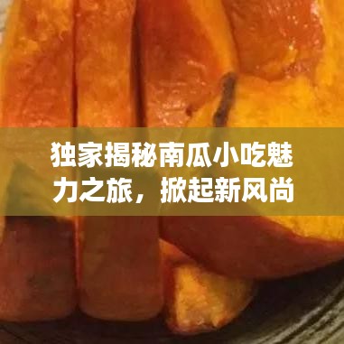独家揭秘南瓜小吃魅力之旅，掀起新风尚的美食盛宴
