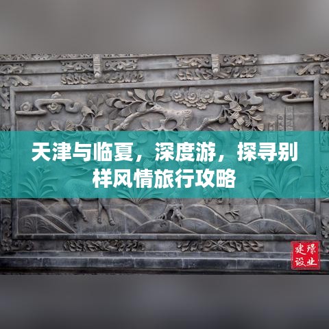 天津与临夏，深度游，探寻别样风情旅行攻略