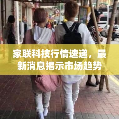 家联科技行情速递，最新消息揭示市场趋势，投资机遇一览无遗