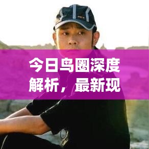 今日鸟圈深度解析，最新现状观察与洞察