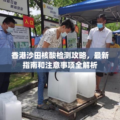 香港沙田核酸检测攻略，最新指南和注意事项全解析