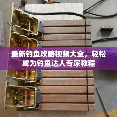 最新钓鱼攻略视频大全，轻松成为钓鱼达人专家教程