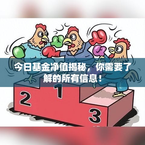 今日基金净值揭秘，你需要了解的所有信息！