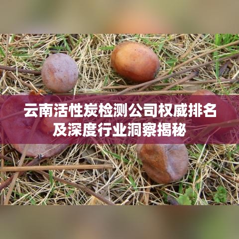 云南活性炭检测公司权威排名及深度行业洞察揭秘
