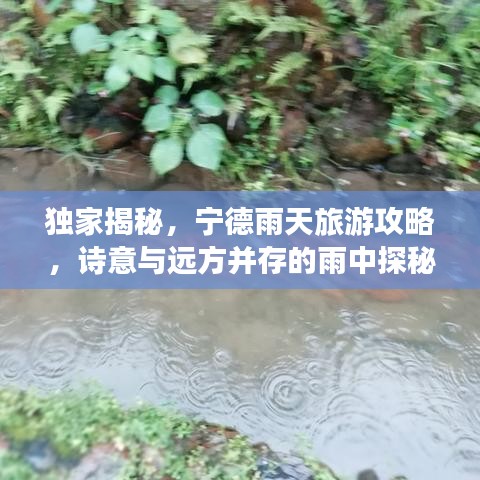 独家揭秘，宁德雨天旅游攻略，诗意与远方并存的雨中探秘之旅