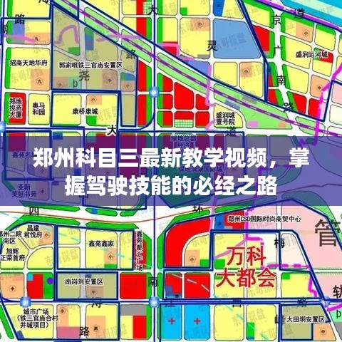 郑州科目三最新教学视频，掌握驾驶技能的必经之路