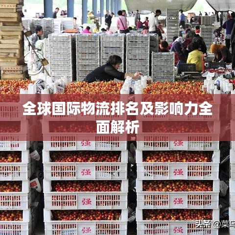 全球国际物流排名及影响力全面解析