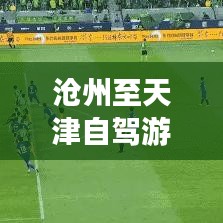 沧州至天津自驾游攻略大全（最新更新）