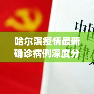 哈尔滨疫情最新确诊病例深度分析