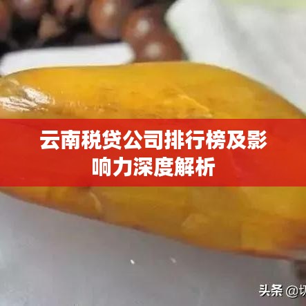 云南税贷公司排行榜及影响力深度解析