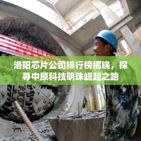 听见风就是雨