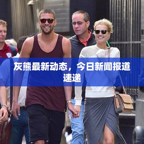 灰熊最新动态，今日新闻报道速递