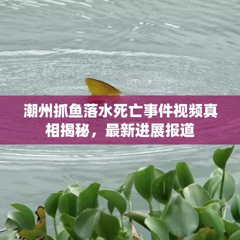 潮州抓鱼落水死亡事件视频真相揭秘，最新进展报道