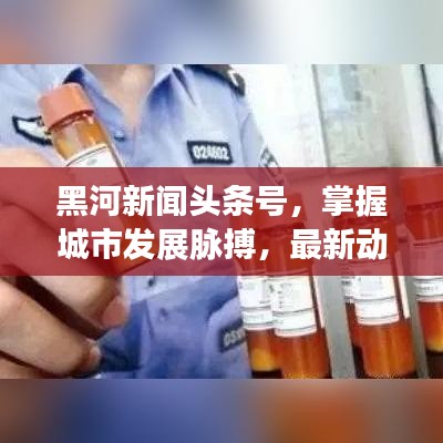 黑河新闻头条号，掌握城市发展脉搏，最新动态一网打尽