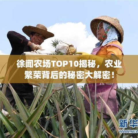 徐闻农场TOP10揭秘，农业繁荣背后的秘密大解密！