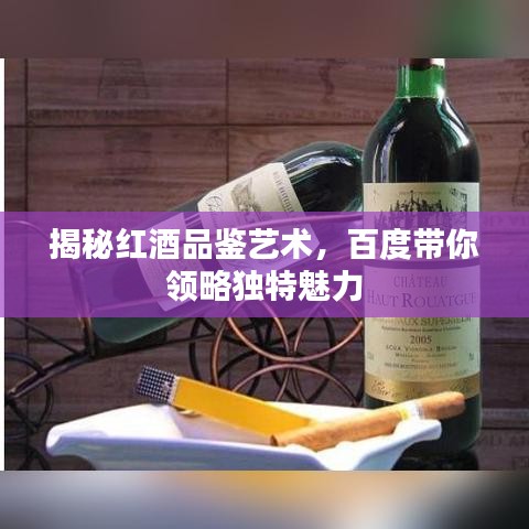 揭秘红酒品鉴艺术，百度带你领略独特魅力