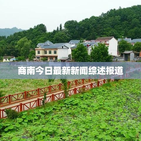 商南今日最新新闻综述报道