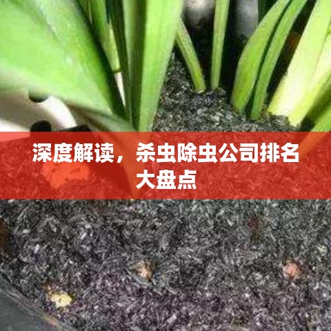深度解读，杀虫除虫公司排名大盘点