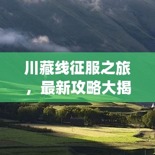 纡尊降贵