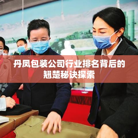 丹凤包装公司行业排名背后的翘楚秘诀探索