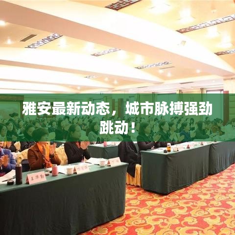 雅安最新动态，城市脉搏强劲跳动！