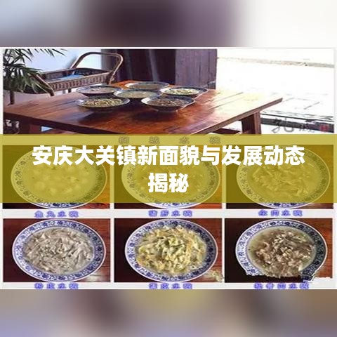 安庆大关镇新面貌与发展动态揭秘