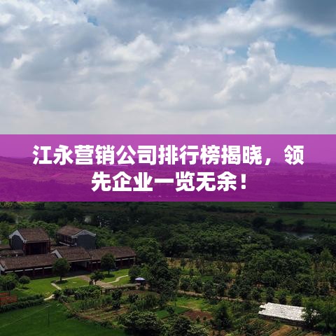江永营销公司排行榜揭晓，领先企业一览无余！