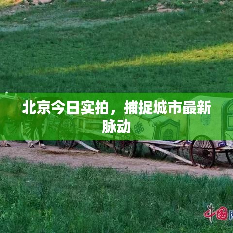 北京今日实拍，捕捉城市最新脉动