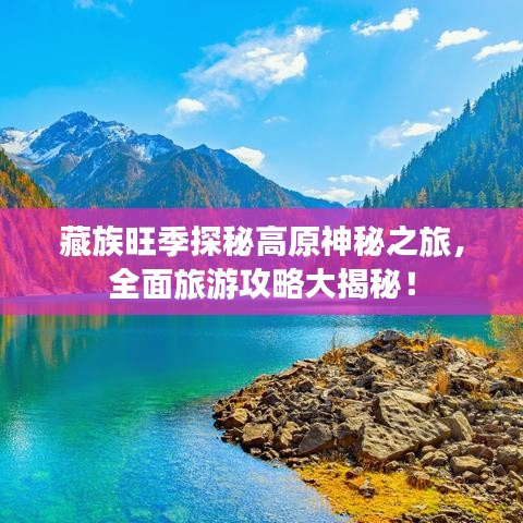 贵险贱璧
