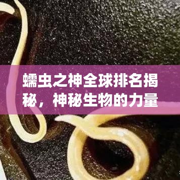 标新立异