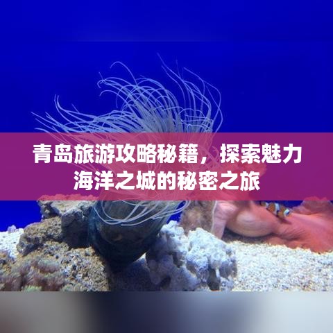空谷幽兰