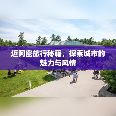 迈阿密旅行秘籍，探索城市的魅力与风情