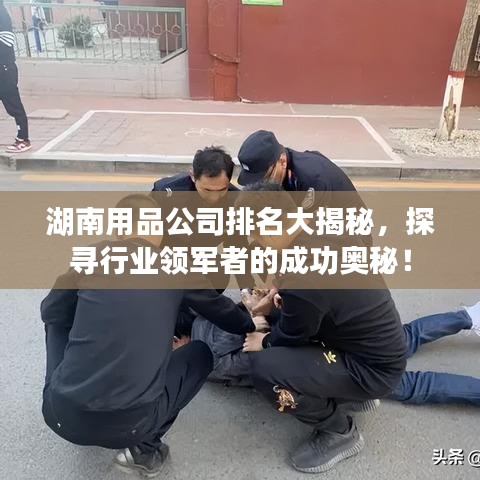 湖南用品公司排名大揭秘，探寻行业领军者的成功奥秘！