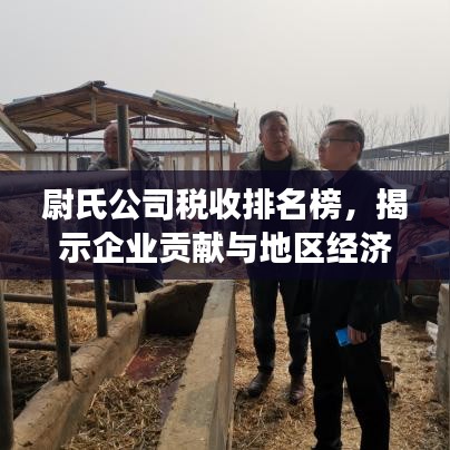 尉氏公司税收排名榜，揭示企业贡献与地区经济活力增长榜单