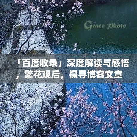 「百度收录」深度解读与感悟，繁花观后，探寻博客文章中的独特视角与体验分享