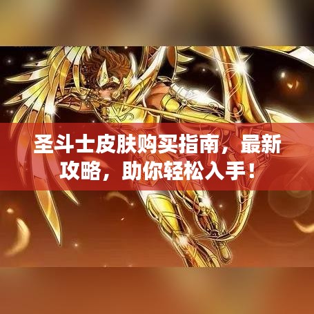 圣斗士皮肤购买指南，最新攻略，助你轻松入手！