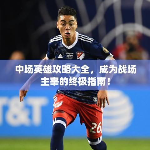 罗含梦鸟